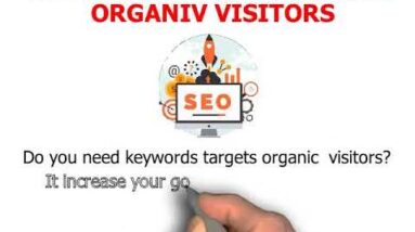 I will drive keywords targeted organic website traffic on fiverr