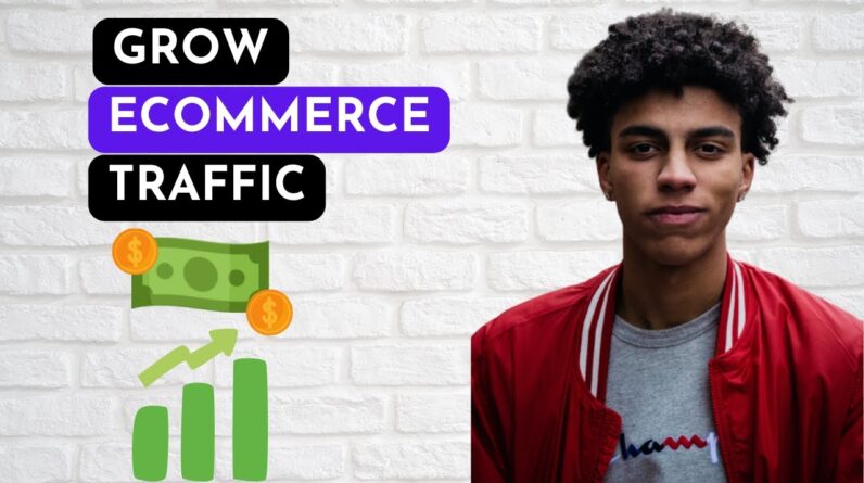 eCommerce SEO: How to Bring Organic Traffic to Your Online Store - Advanced eCommerce SEO